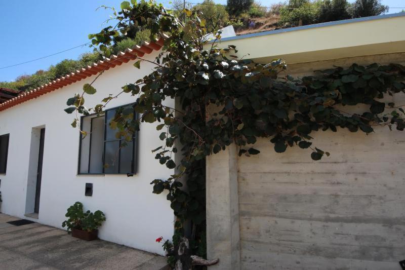 Douro Yacht Charter & Bungalows São João da Pesqueira Екстериор снимка