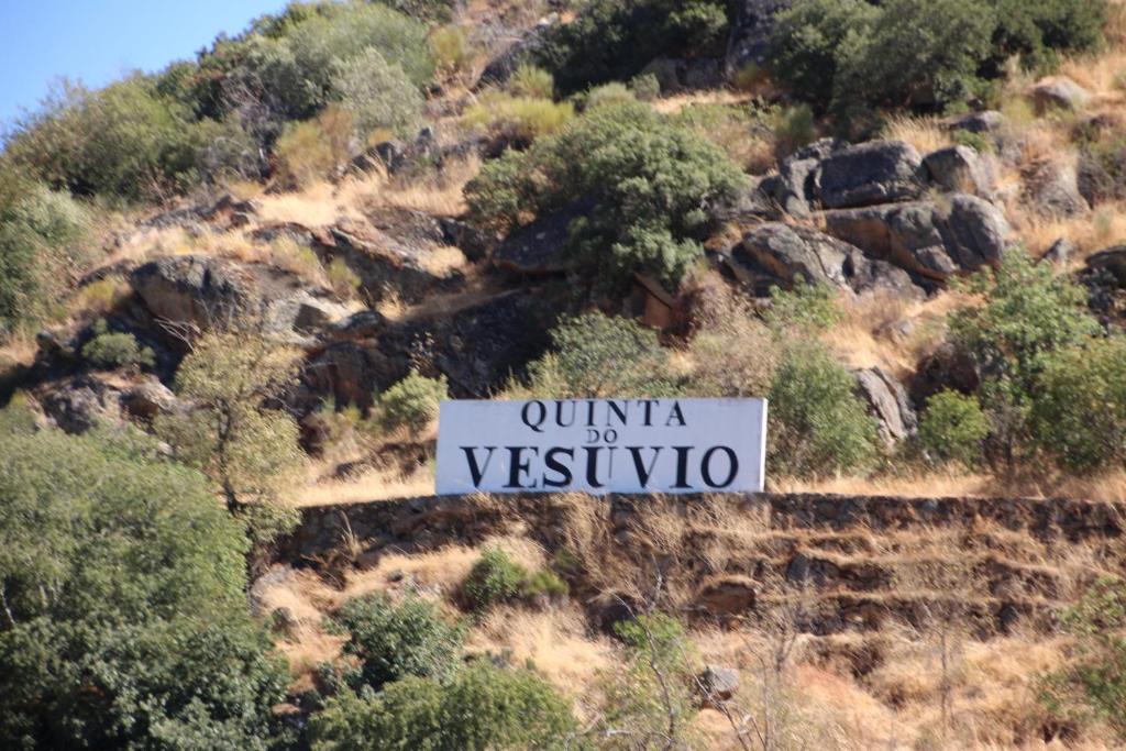 Douro Yacht Charter & Bungalows São João da Pesqueira Екстериор снимка