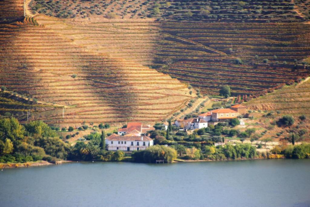 Douro Yacht Charter & Bungalows São João da Pesqueira Екстериор снимка