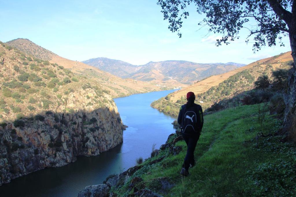 Douro Yacht Charter & Bungalows São João da Pesqueira Екстериор снимка